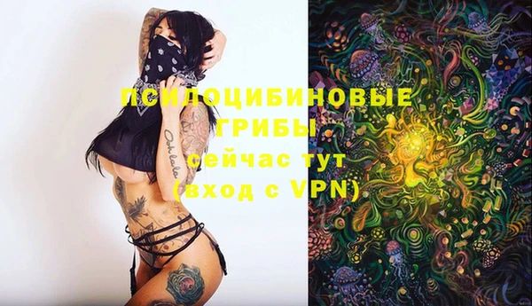 spice Балабаново