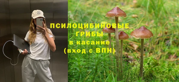 спайс Баксан