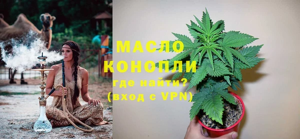 сатива Балахна