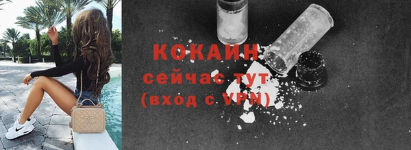 сатива Балахна