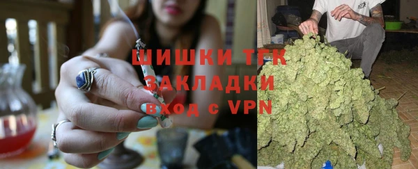 сатива Балахна