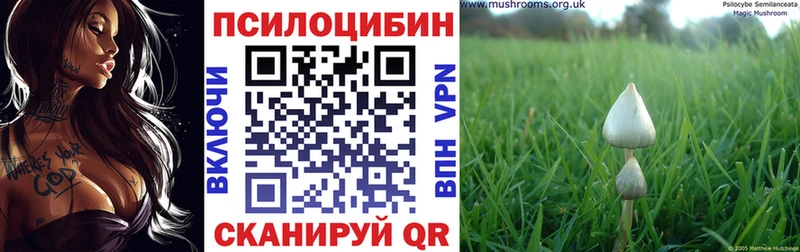 Псилоцибиновые грибы мицелий  как найти наркотики  Невель 